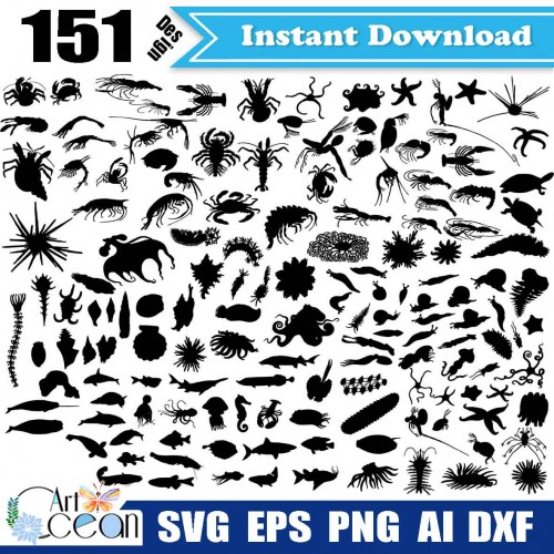 Sea Svg Marine Life Svg Starfish Svg Shrimp Svg Crab Svg Seaweed Svg Coral Fish Svg Ocean Svg Clipart Silhouette Cut File Stencil Png Dxf Jy283