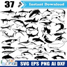 Shark svg,Whale svg,dolphin svg,sea animals svg,marine life svg,ocean svg,Shark vector clipart silhouette cut file stencil file png dxf-JY509
