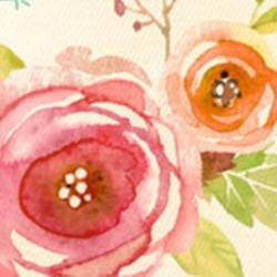 Plant & Flower